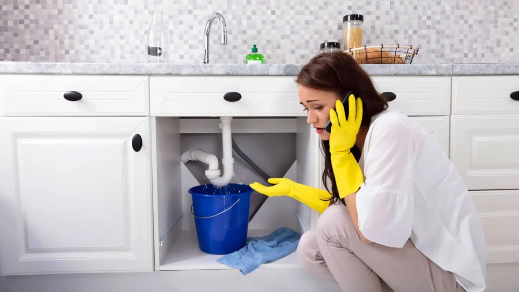 emergency plumbing repair