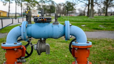 sprinkler backflow preventer